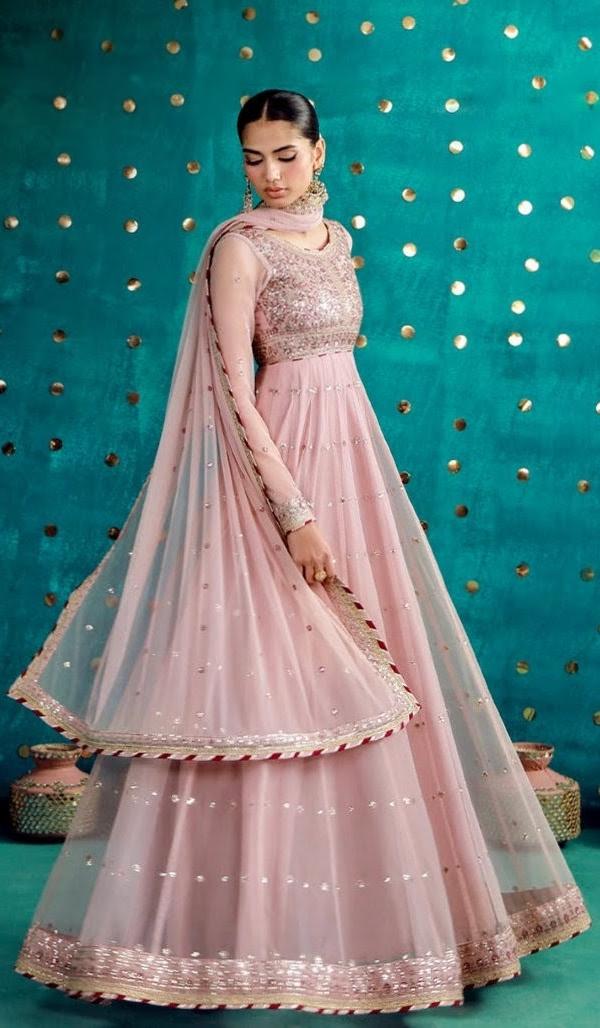 Embroided Poly Net Unstitched 2 Pcs . Asim Jofa Special Edition 2026  010 4