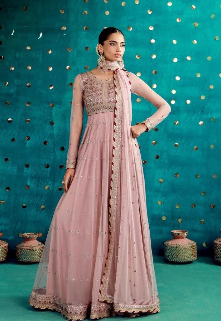 Embroided Poly Net Unstitched 2 Pcs . Asim Jofa Special Edition 2026  010 1