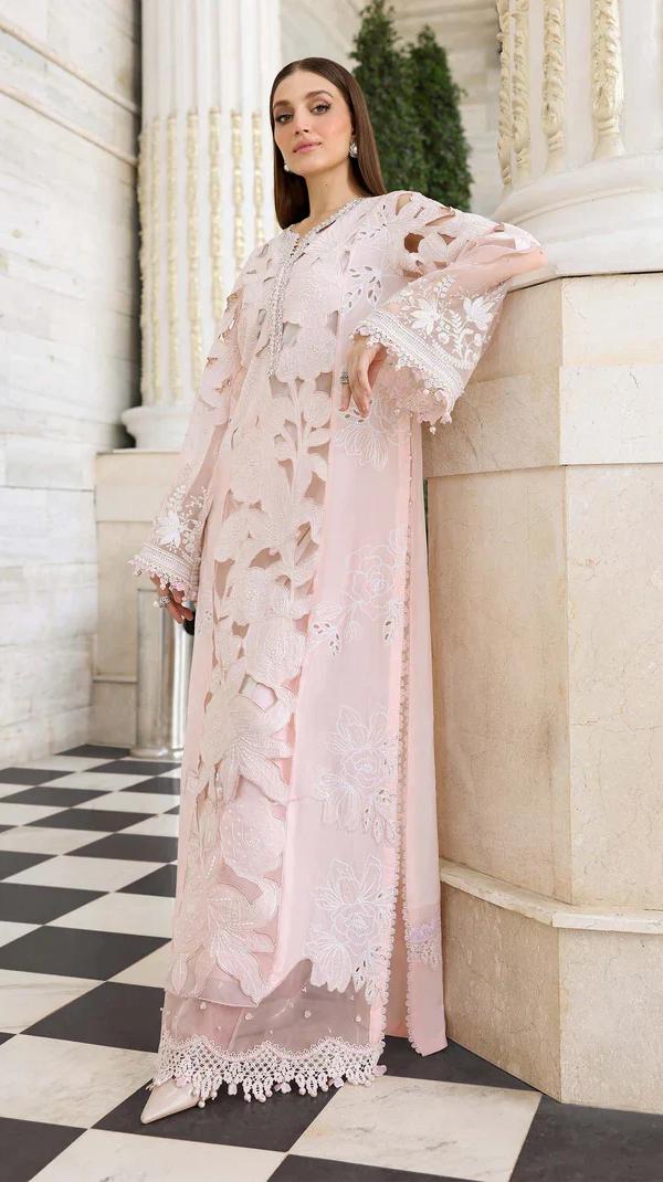  Luxury Blush Pink Chikankari Embroidered Organza Suit new edition 2026 2