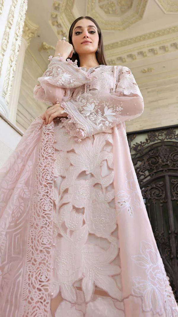  Luxury Blush Pink Chikankari Embroidered Organza Suit new edition 2026 3
