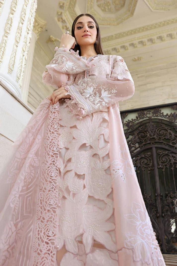  Luxury Blush Pink Chikankari Embroidered Organza Suit new edition 2026 1